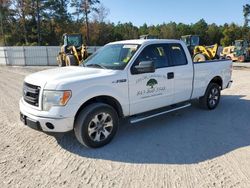 Vehiculos salvage en venta de Copart Harleyville, SC: 2013 Ford F150 Super Cab