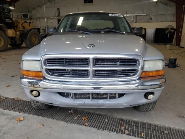 2004 Dodge Dakota Quad SLT