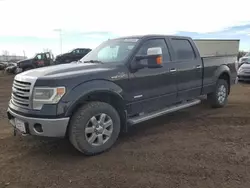 Salvage trucks for sale at Rocky View County, AB auction: 2014 Ford F150 Supercrew