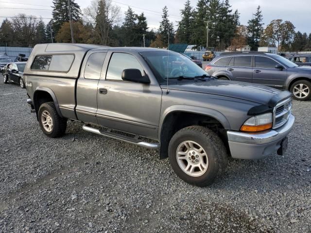 2004 Dodge Dakota SLT