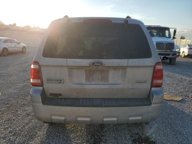 2009 Ford Escape XLT