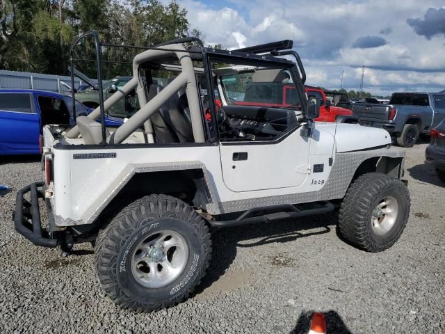 1991 Jeep Wrangler / YJ