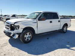 Salvage Cars with No Bids Yet For Sale at auction: 2014 Ford F150 Supercrew