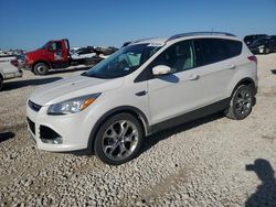 Ford Escape salvage cars for sale: 2014 Ford Escape Titanium