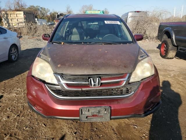 2010 Honda CR-V EXL