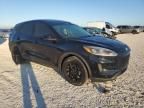 2020 Ford Escape SE Sport