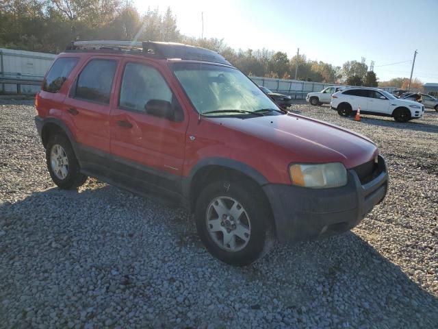 2002 Ford Escape XLT