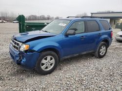 Ford Vehiculos salvage en venta: 2011 Ford Escape XLT