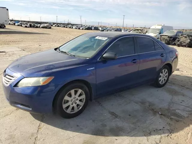 2008 Toyota Camry Hybrid