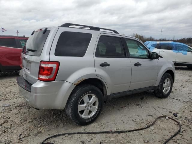 2011 Ford Escape XLT