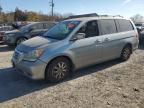 2008 Honda Odyssey EXL