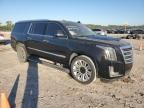 2017 Cadillac Escalade ESV Platinum