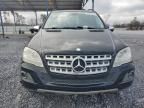 2010 Mercedes-Benz ML 350