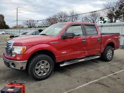 Ford salvage cars for sale: 2012 Ford F150 Supercrew