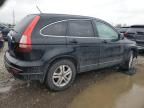 2010 Honda CR-V EXL