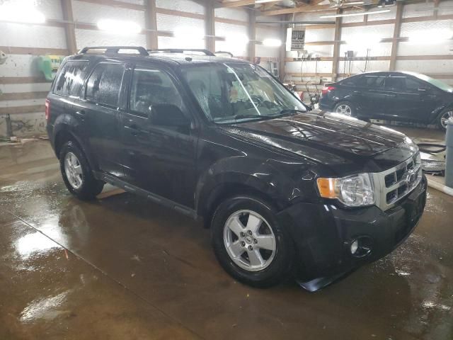 2009 Ford Escape XLT