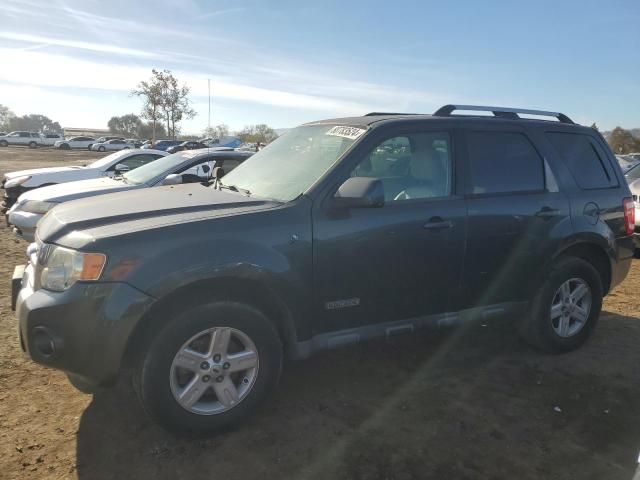 2008 Ford Escape HEV