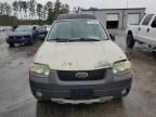 2005 Ford Escape XLT