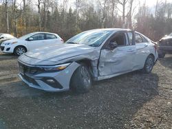 Hyundai Elantra salvage cars for sale: 2024 Hyundai Elantra SEL