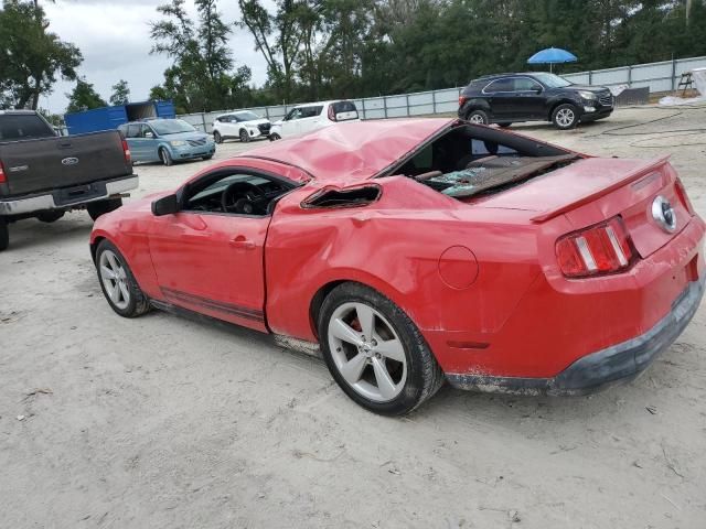 2010 Ford Mustang