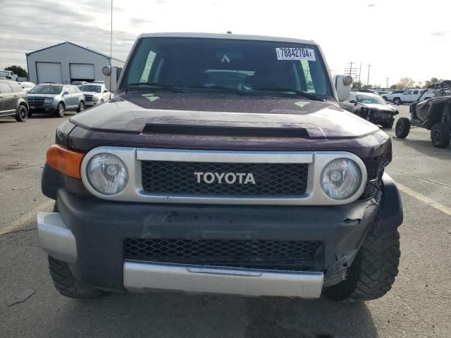 2007 Toyota FJ Cruiser