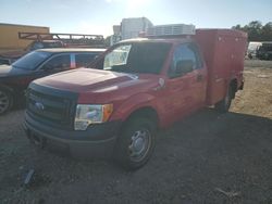 Ford salvage cars for sale: 2013 Ford F150