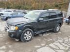 2009 Ford Escape Limited