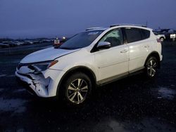 Toyota salvage cars for sale: 2016 Toyota Rav4 XLE