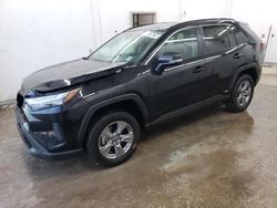 Salvage cars for sale from Copart Madisonville, TN: 2024 Toyota Rav4 LE