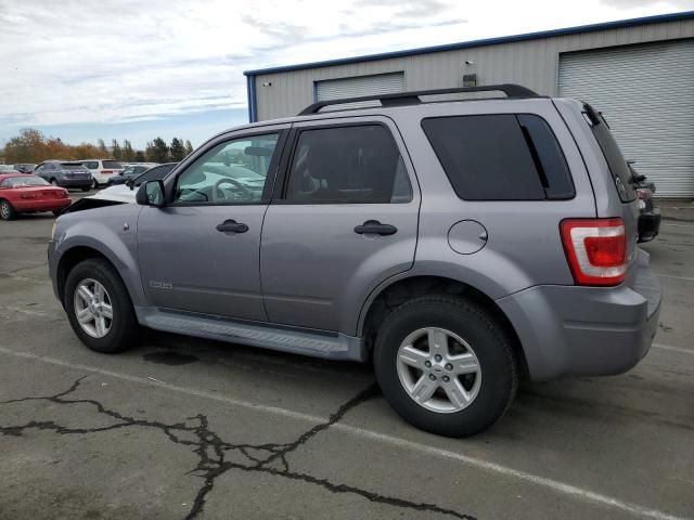 2008 Ford Escape HEV