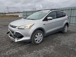 2013 Ford Escape SE en venta en Ottawa, ON