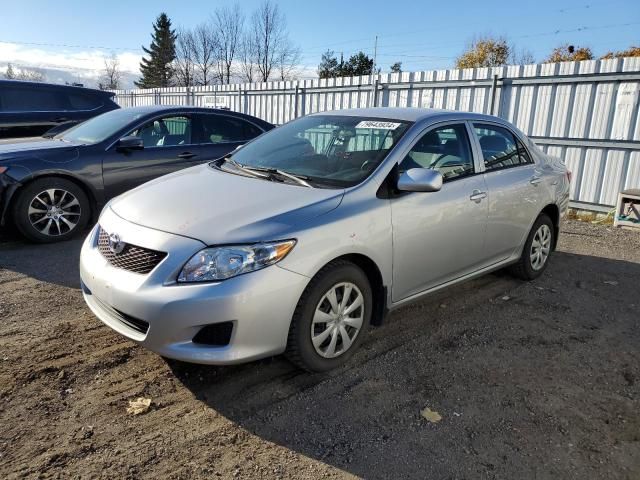 2010 Toyota Corolla Base