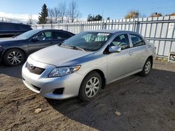 Salvage cars for sale at Bowmanville, ON auction: 2010 Toyota Corolla Base