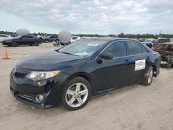 Salvage cars for sale at Houston, TX auction: 2014 Toyota Camry L