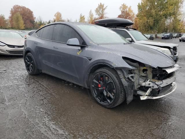 2020 Tesla Model Y