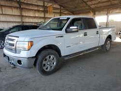 Salvage cars for sale from Copart Phoenix, AZ: 2014 Ford F150 Supercrew