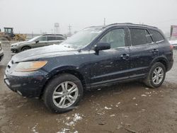 Hyundai Santa fe salvage cars for sale: 2009 Hyundai Santa FE SE