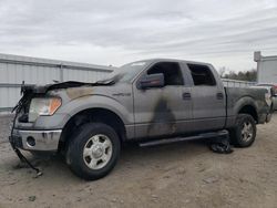 Salvage cars for sale at Fredericksburg, VA auction: 2013 Ford F150 Supercrew