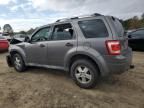 2009 Ford Escape XLS