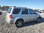 2006 Ford Escape Limited