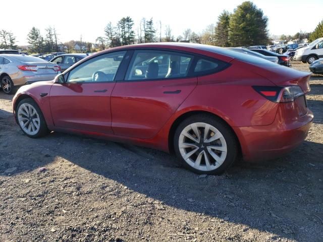 2022 Tesla Model 3