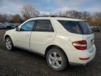 2009 Mercedes-Benz ML 350