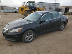 Salvage cars for sale at Bismarck, ND auction: 2012 Honda Accord SE