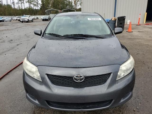 2010 Toyota Corolla Base