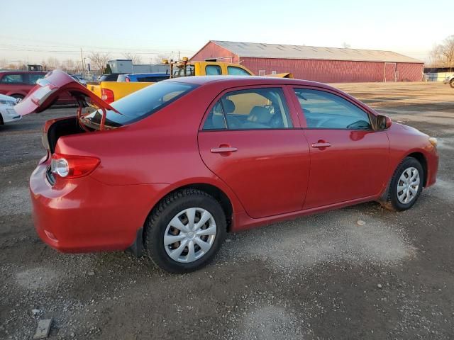 2011 Toyota Corolla Base