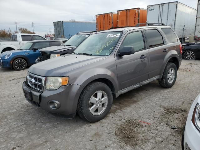 2009 Ford Escape XLT