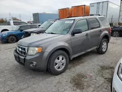 Salvage cars for sale from Copart Bridgeton, MO: 2009 Ford Escape XLT