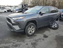 Salvage cars for sale at auction: 2024 Toyota Rav4 XLE