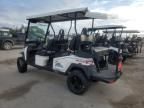 2024 Bintelli Golfcart