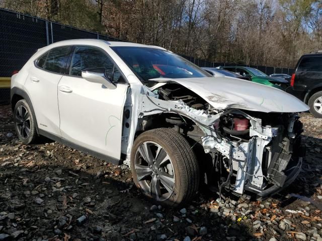 2020 Lexus UX 250H